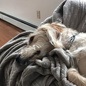 Meet your Posher, Scott